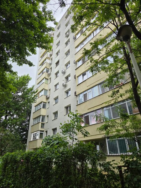 Sector 2, sold. Zambila Ionita